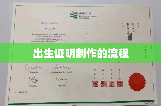 保德出生证明制作的流程