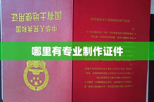 保德哪里有专业制作证件
