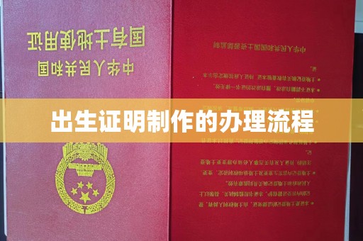 保德出生证明制作的办理流程