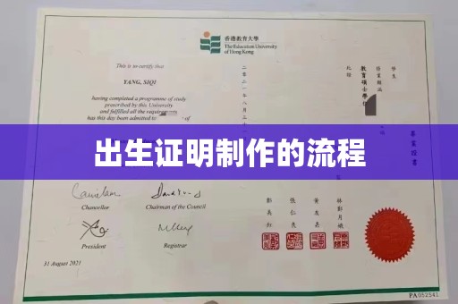 保德出生证明制作的流程