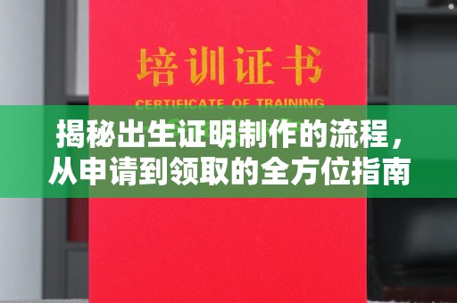 保德揭秘出生证明制作的流程，从申请到领取的全方位指南